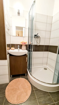 Krásny 2-izb byt so šatníkom, zariadený- VOĽNÝ IHNEĎ - 4