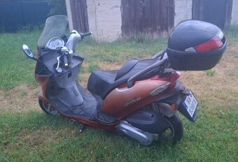 Kymco - Grand Dink 250 - 4