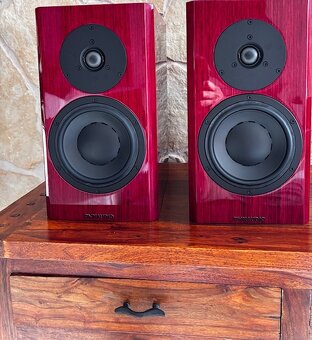 Dynaudio Special Forty, farba red - 4