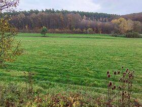 Nová cena - exkluzívne na predaj pozemok Brezolupy Jerichov - 4