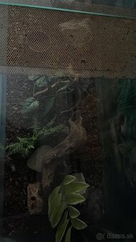 Predám terárium - 4