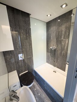 EXKLUZÍVNY 2 IZBOVÝ PENTHOUSE S 50M2 TERASOU BA1 - 4
