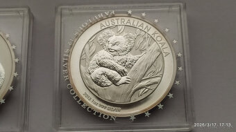 Koala 2010 a 2013 - 4