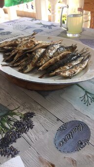Dovolenka Chorvátsko - 4