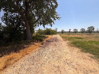 Pozemok pri Vrábľoch (k.ú: Vieska nad Žitavou ) na predaj - 4