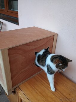 Búda pre mačky - 4