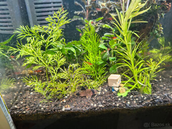 Akvárium Optiwhite 20l - 4