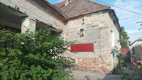 ID138 - Predaj veľký rodinný dom pri Dunajskej Strede - 4