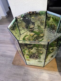 Predám 8 uhoľníkové zabehnuté akvárium 120 litrov - 4