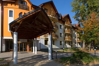 studio apartmán s balkónom pri jazere – Drazdiak - 4