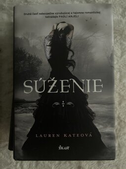 Séria Padlí anjeli od Lauren Kate - 4