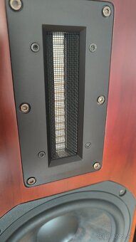 Aurum Cantus M-103 (Rosewood) - 4