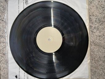 HVOB - Rocco - 4