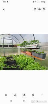 Polykarbonatovy sklenik - 4