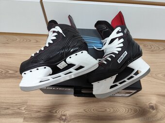 Korčule Bauer NS - 4