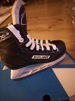 Korcule Bauer XLS 33.5 - 4