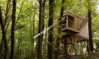 Lestnatý porast 5862 m2, Včelárska paseka, Vyšné Opátske - 4