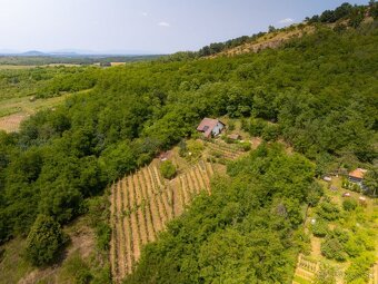 Vinica so záhradným domčekom v záhradkárskej oblasti Kráľovs - 4