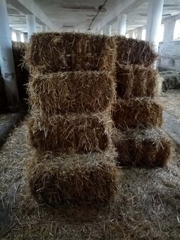 Fortschritt 454B - 4