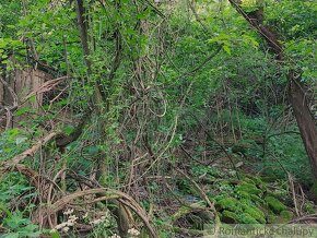 Lesnatý pozemok s pozostatkami pôvodného domu v malebnej - 4