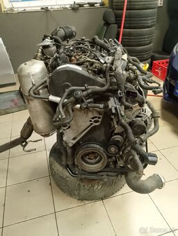 Motor 1.6Tdi 66kW CAYB - 4