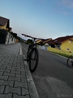 Dirt king Xpert 2023 - 4