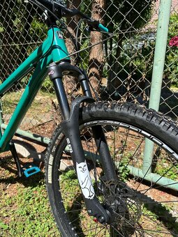 Kellys Whip 50 custom - 4