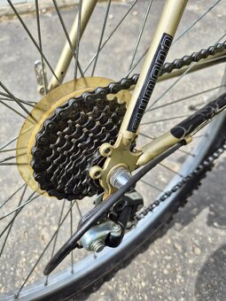 Bicykel Dema - 4
