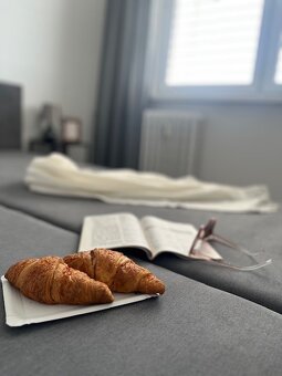 Na prenájom 2.izbový byt s loggiou - 4