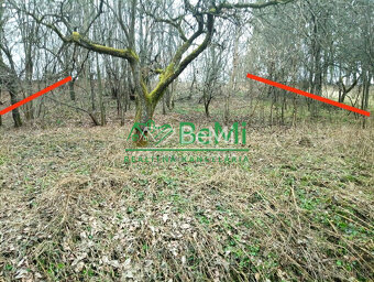 ID:003-14-MAFE Rekreačný pozemok, na výstavbu chaty, na pred - 4
