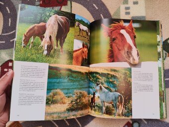 1000 mláďat (SK) - 4