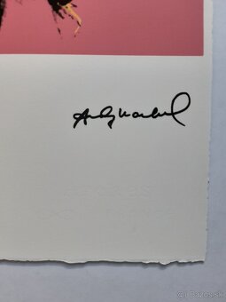 Andy Warhol – Marylin Monroe Pink - 4