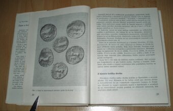 Zajac a králik - 4