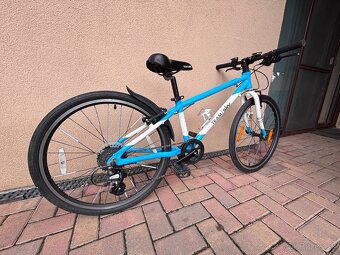 Frog Sky Team 62 - 4