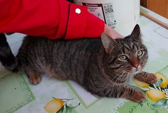 Kryštofko hlada domov - 4