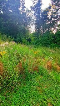 Znížená cena Stavebný pozemok na predaj - 4