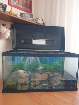 Vodná korytnačka + akvárium a príslušenstvo - 4