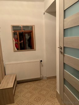 2 izbovy byt na prenajom - 4