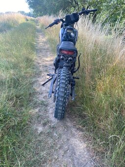 suzuki - 4