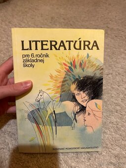 Učebnice Slovenský jazyk a Literatúra - 4