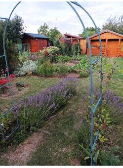 Predám záhradu. - 4