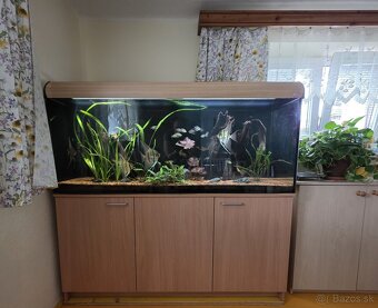 Akvárium 450L Diversa + skrinka + filter + JBL UV lampa + - 4