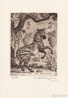 predam grafiky od Peter Klucik - 4