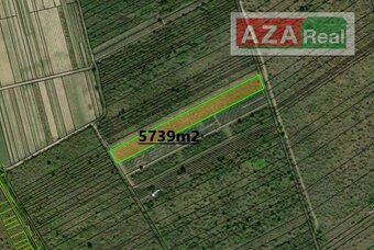 Vinica v Modre je na predaj-5739m2 - 4