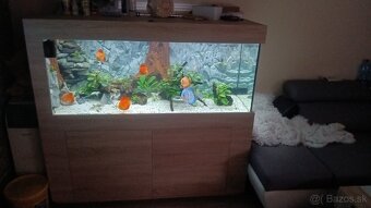 Predám komplet akvárium 540l 150x60x60 - 4