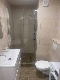 Prenájom 1 izboveho bytu - 4