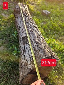 Orechové drevo - 4
