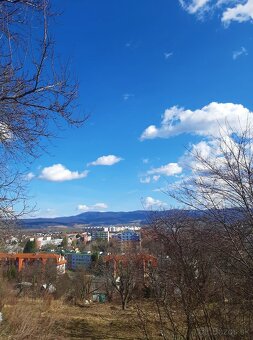 Záhrada najbližšie ku Karpatskej ulici - 4