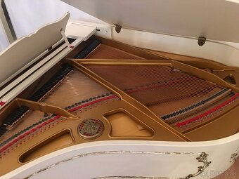 Petrof P173 Breeze Rococo - 4
