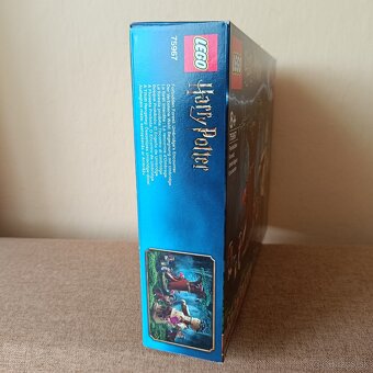 LEGO Harry Potter 75967 Zakázaný les: Stretnutie Grawpa s pr - 4